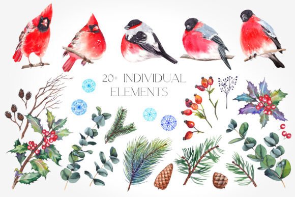 Christmas Winter Birds Illustrations Review