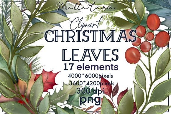 Watercolor Christmas Leaves Clipart PNG & Illustrations